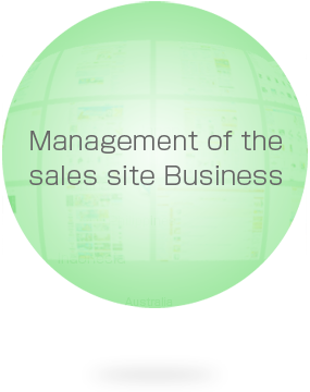 Management of the sales site Business